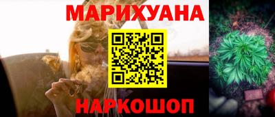 шишки Абакан