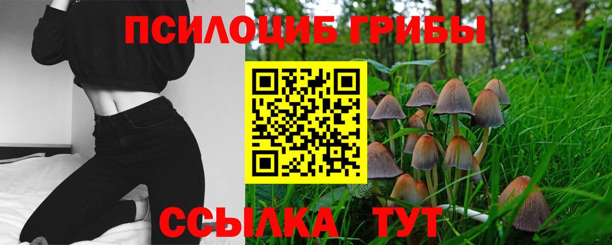 Рославль  Псилоцибиновые грибы GOLDEN TEACHER  Вход с VPN  Галлюциногенные грибы Cubensis 