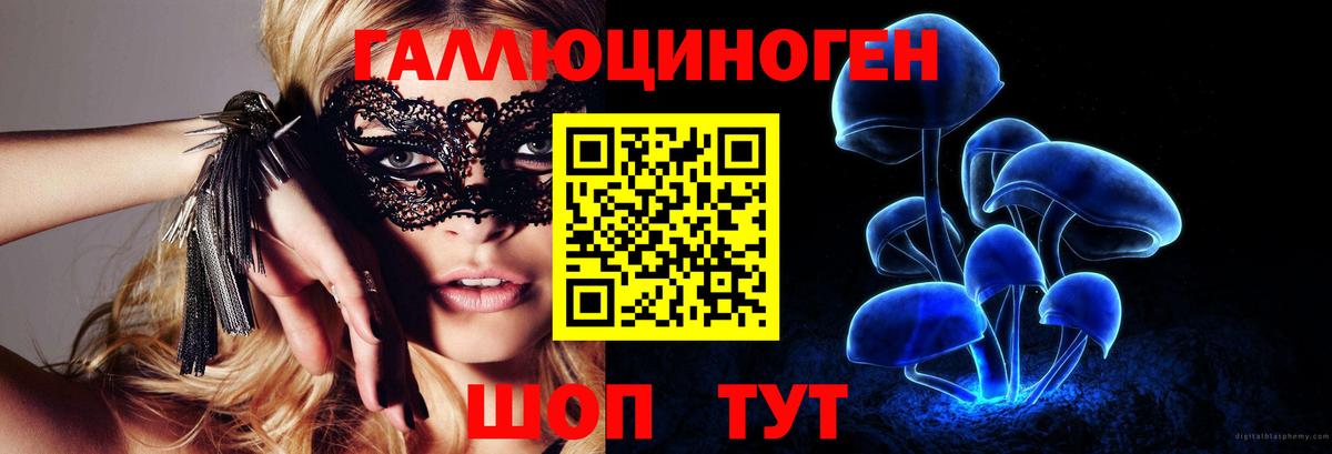 Псилоцибиновые грибы GOLDEN TEACHER  Псилоцибиновые грибы мицелий  Рославль 